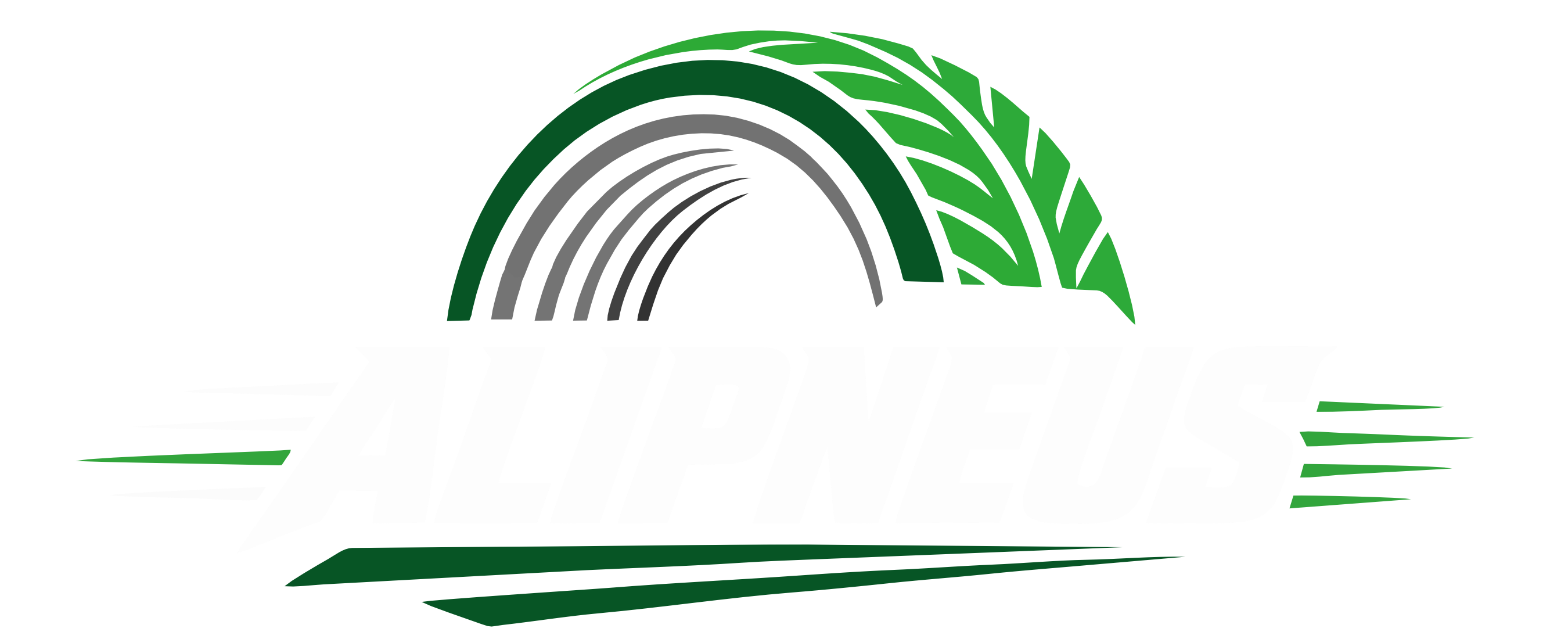Alipneus